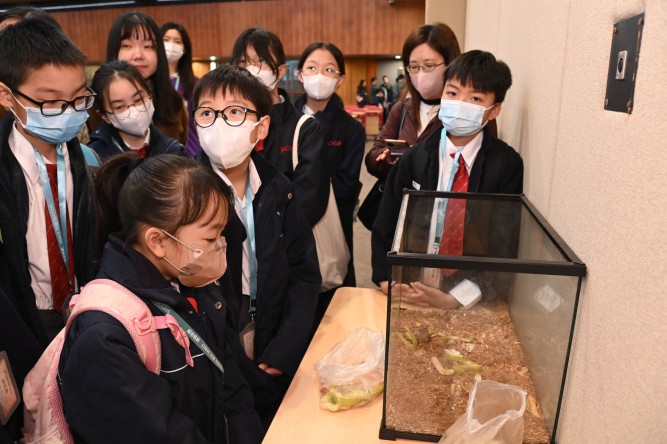The Science Unit of Lingnan University arranges classes on plastic classification, kitchen waste processing, and biodiversity, engaging students in various experiential STEAM activities.