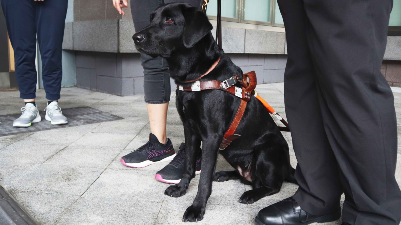 Inclusion workshop@Lingnan: Guide dog ‘Pizza’