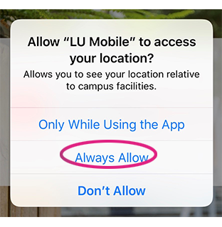 LU Mobile location allow