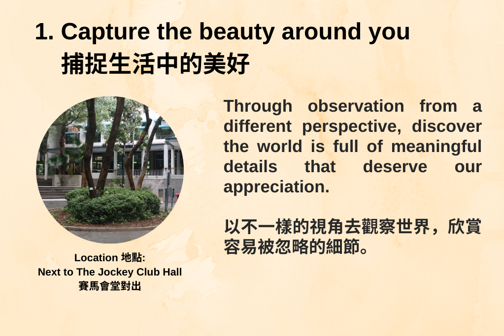 1.Capture the beauty around you捕捉生活中的美好