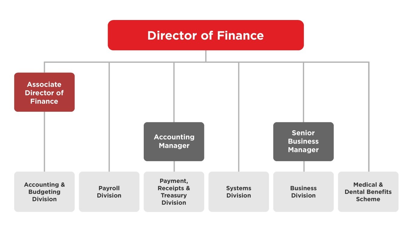Organizational chart showing the hierarchy under the Director of Finance. The Director of Finance oversees the Associate Director of Finance, Accounting Manager, Senior Business Manager, Payroll Division, Systems Division, and Medical & Dental Benefits Scheme. The Associate Director of Finance manages the Accounting & Budgeting Division. The Accounting Manager oversees the Payment, Receipts & Treasury Division. The Senior Business Manager manages the Business Division.