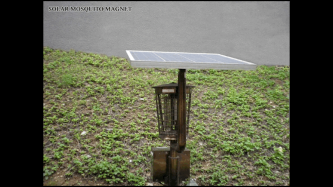 Solar mosquito magnet