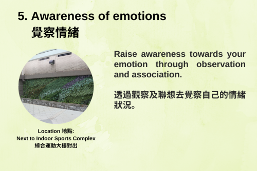 Awareness of emotions
