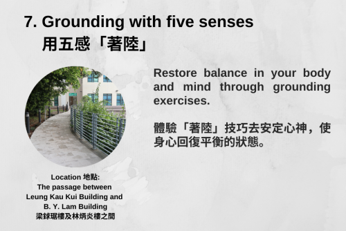 Grounding with five senses