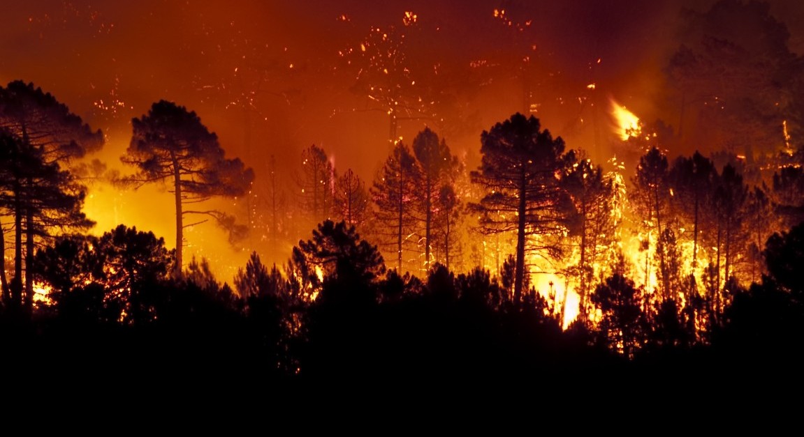 Learn Ethics and Global Catastrophic Risks